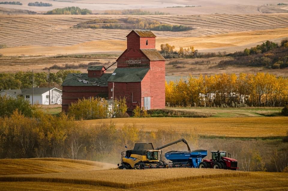 Saskatchewan Harvest