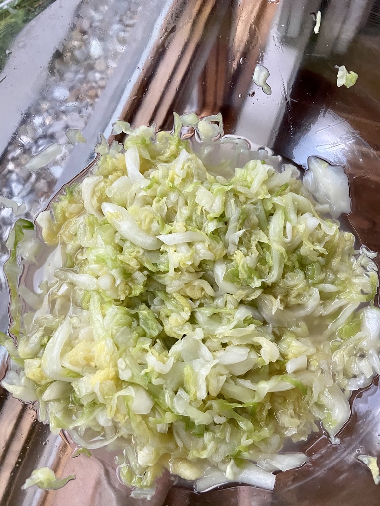 cabbage fermenting